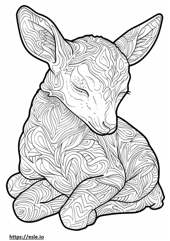 Abyssinian Sleeping coloring page