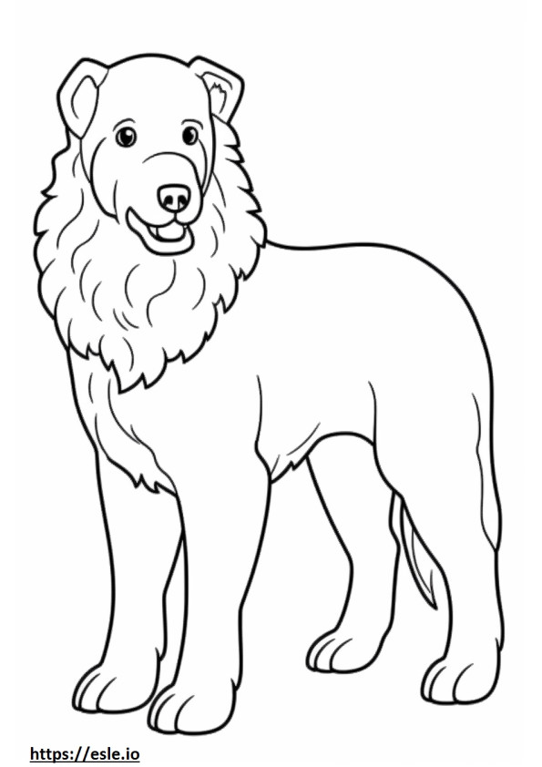 Bolognese Dog Playing coloring page