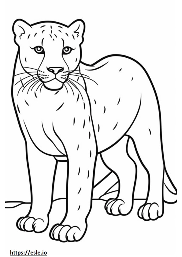 Bombay cute coloring page