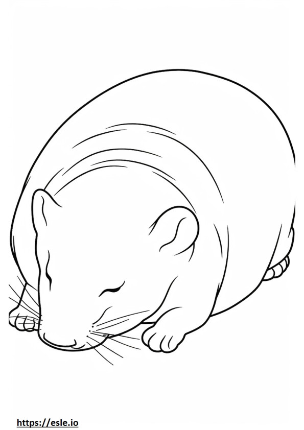 Bombay Sleeping coloring page