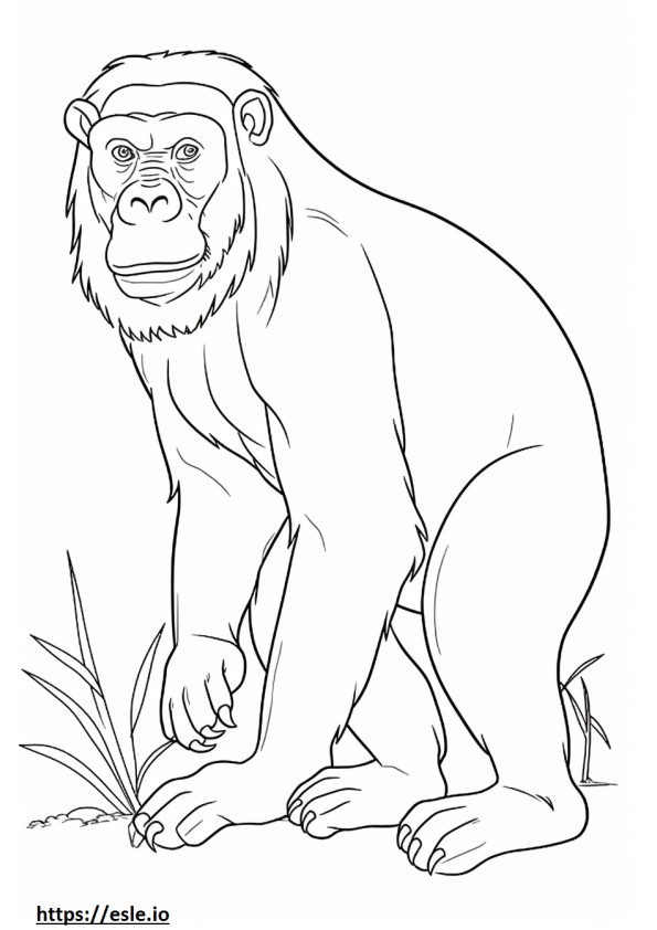 Bonobo cartoon coloring page