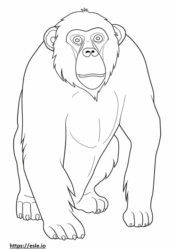 Bonobo Kawaii coloring page
