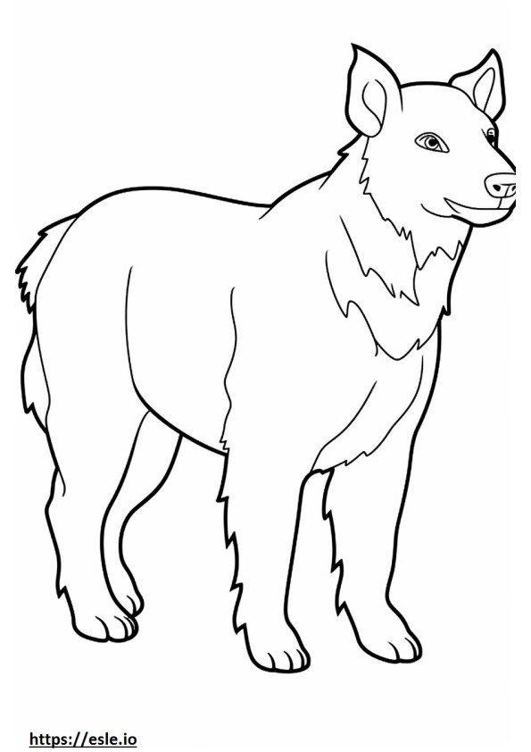 Border Collie baby coloring page