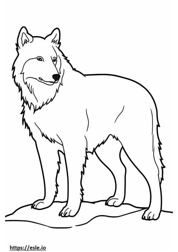 Border Collie cute coloring page