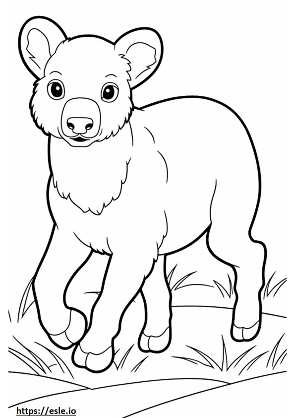 Bordoodle Playing coloring page