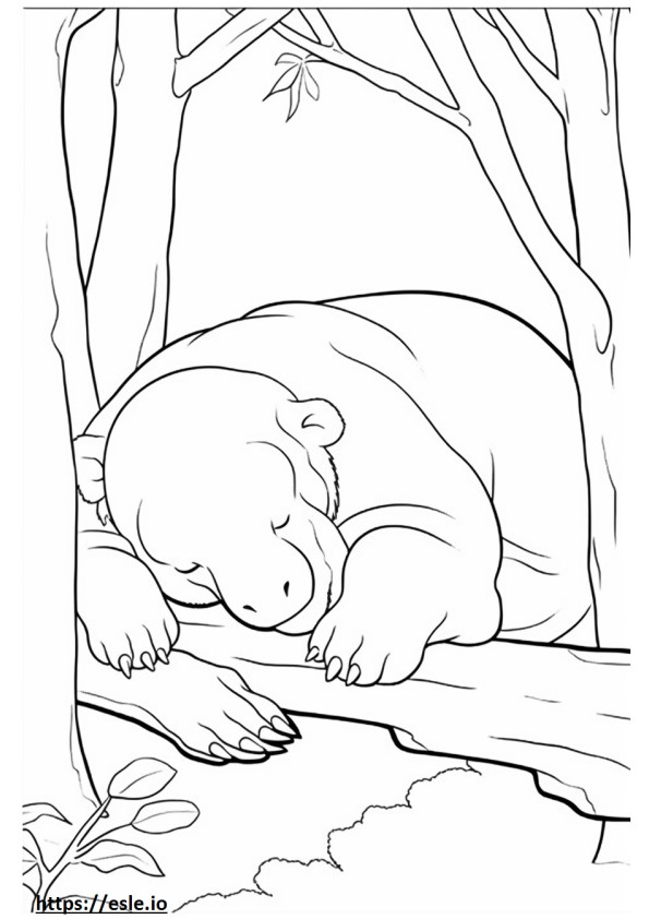 Borneo Elephant Sleeping coloring page