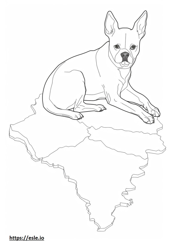 Boston Terrier baby coloring page