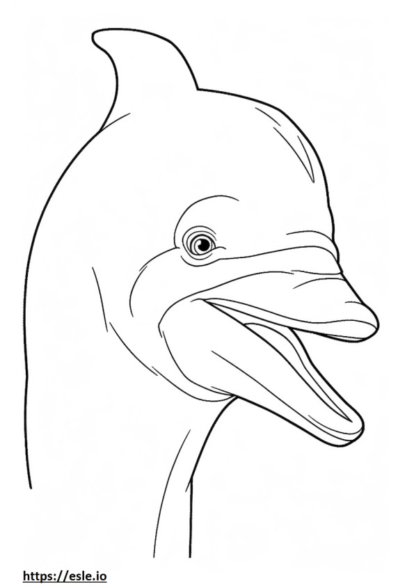 Bottlenose Dolphin face coloring page