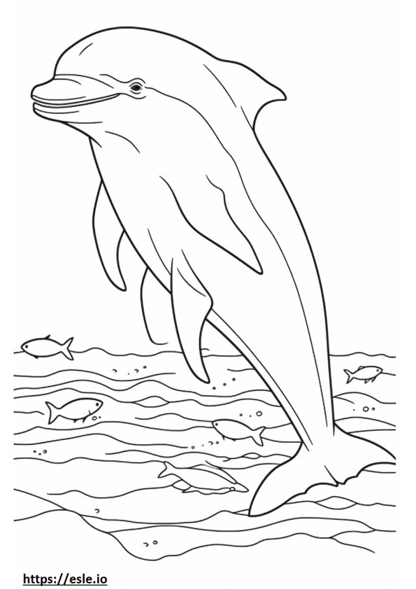 Bottlenose Dolphin cute coloring page