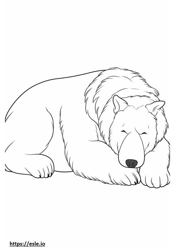 Bouvier Des Flandres Sleeping coloring page