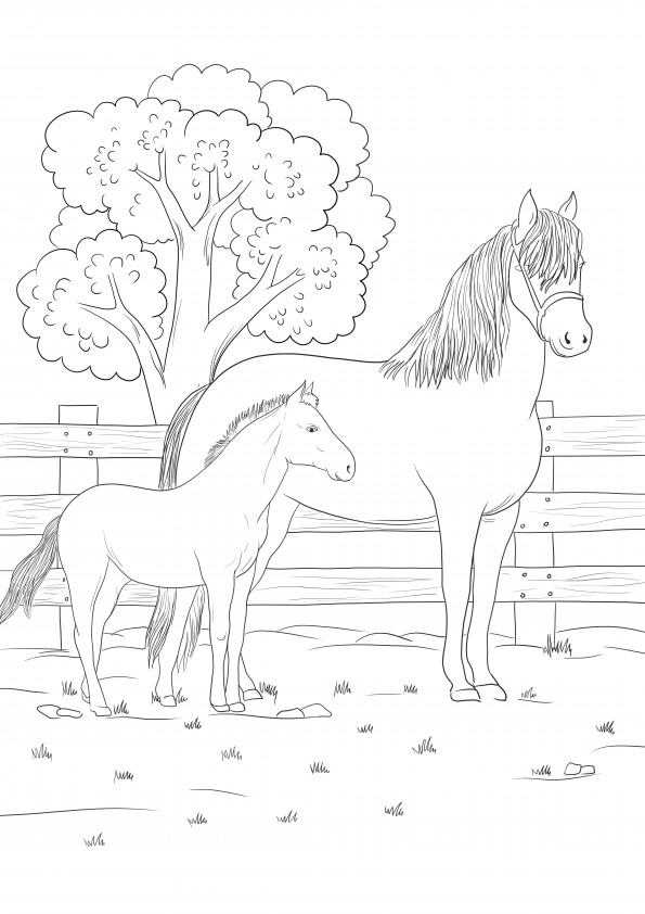Mare and colt - mother and babies-free printable sheet
