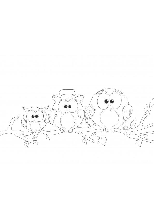 Owl family- a free educational coloring sheet to learn about owls