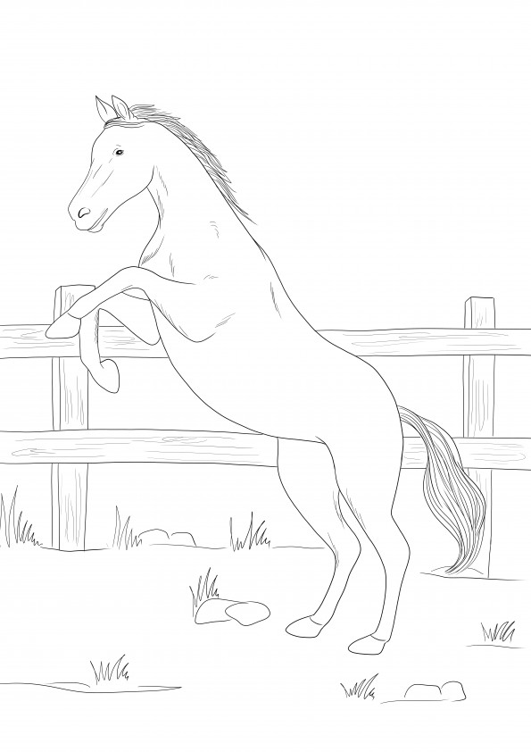 Beautiful anglo arabian horse free printable is ready for coloring