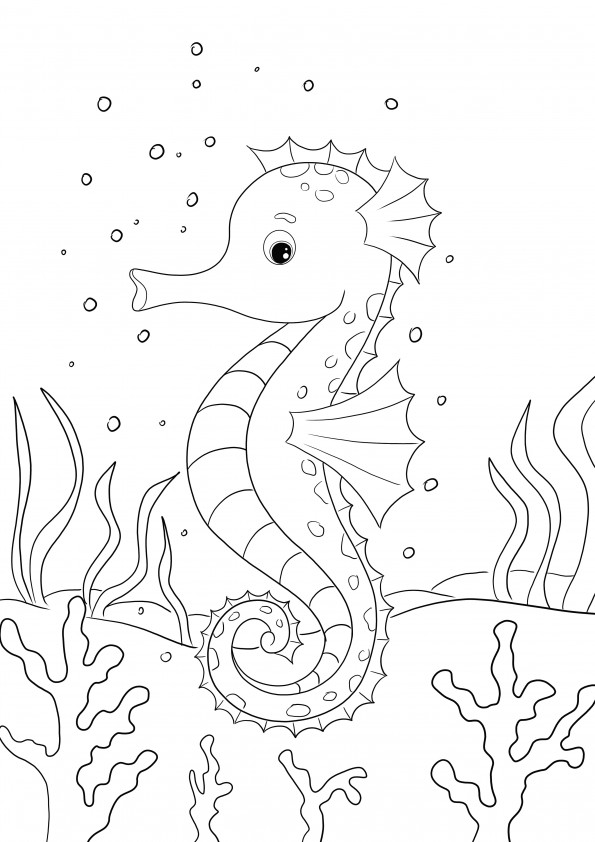 Seahorse free to print and color image for kids