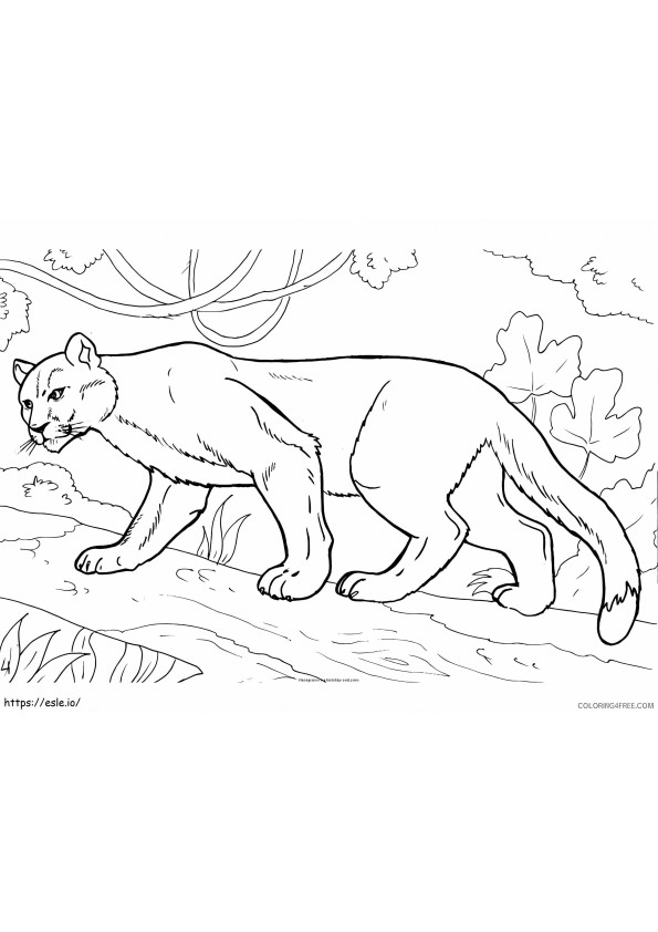 Puma Normal coloring page