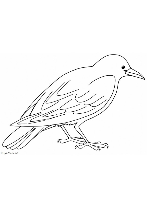 Raven 2 coloring page