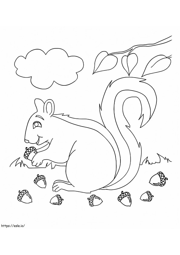 Squirrel And Acorns In Autumn coloring page