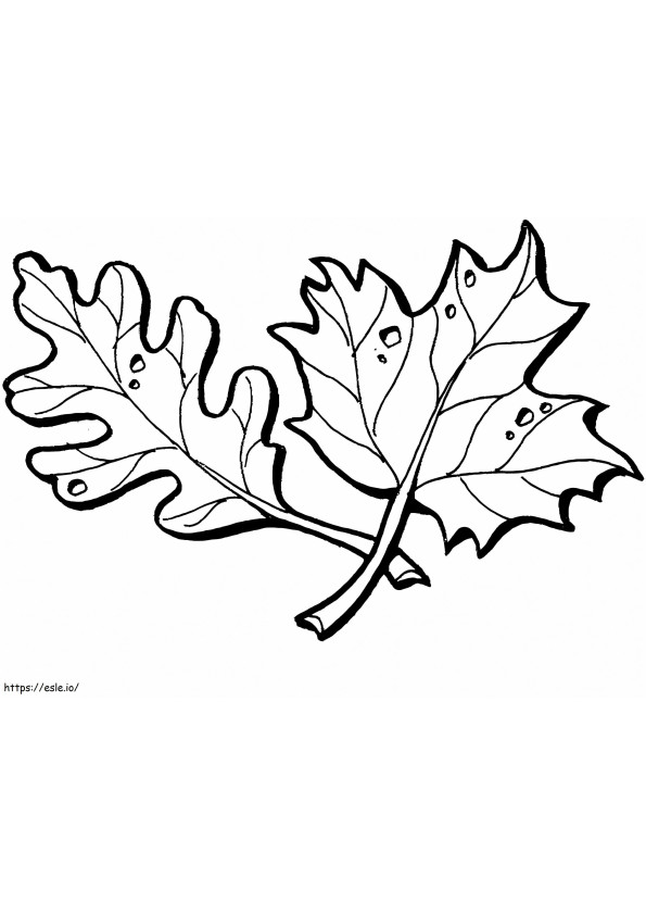 Oak And Maple Leaves coloring page