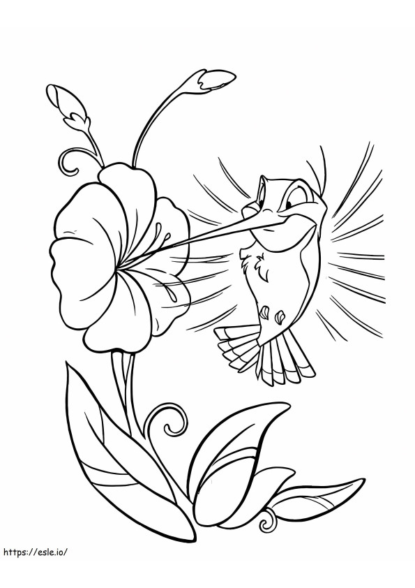 Flit Sipping Nectar A4 coloring page
