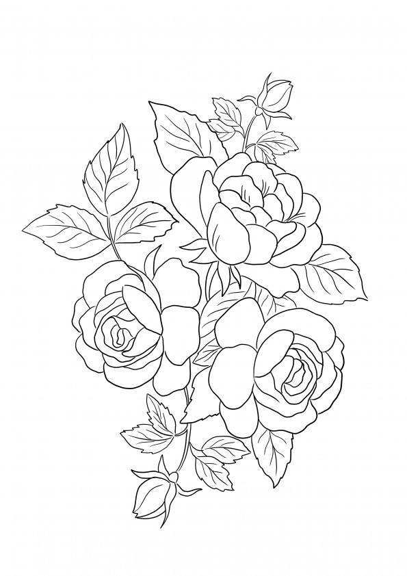 Free coloring image of Roses Flowers to print or download for kids