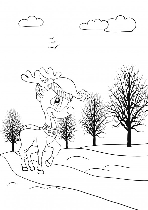 deer in the woods coloring page, printing for free