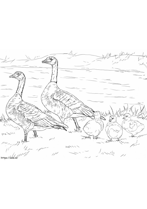 Cackling Goose Family coloring page