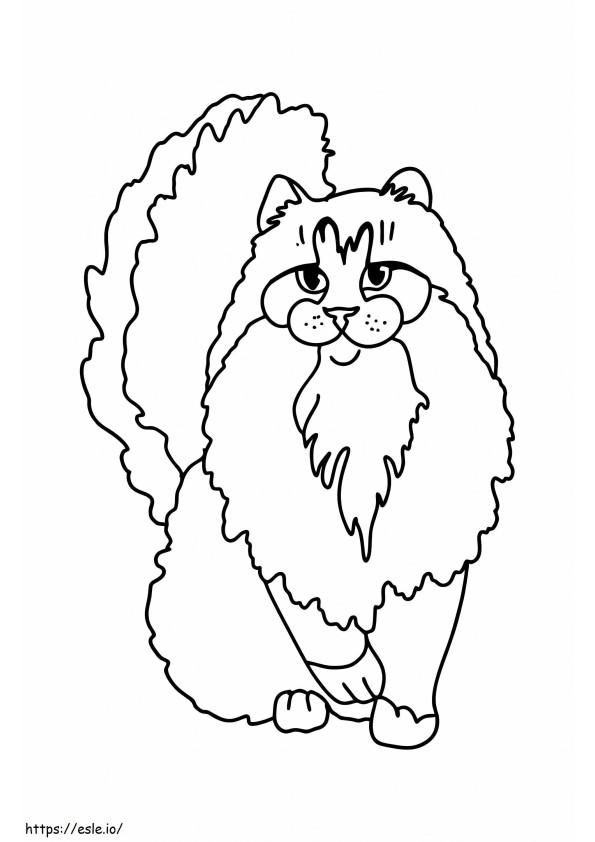 Norwegian Forest Cat coloring page