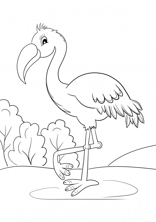 Flamingo bird to color and print for free