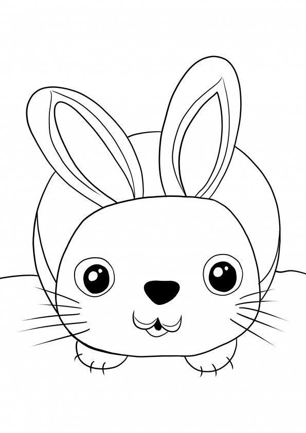 Cute rabbit-free printing and coloring for kids