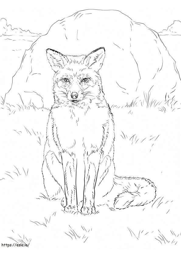 Renard Roux Assis 1 coloring page
