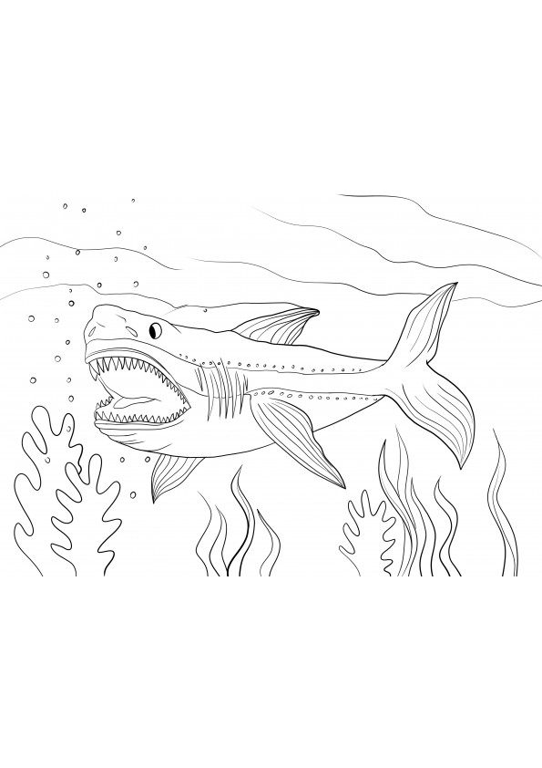 Megalodon shark to print and color or download for free