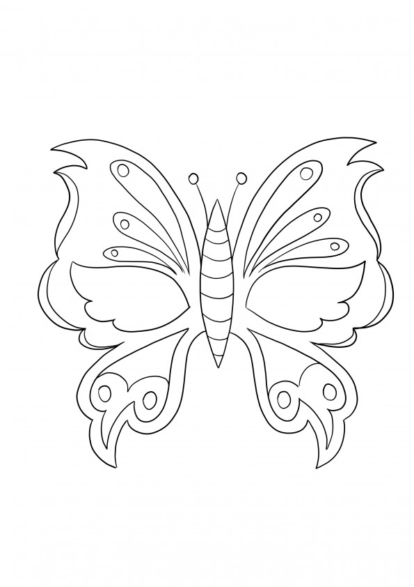Beautiful Butterfly print free and coloring