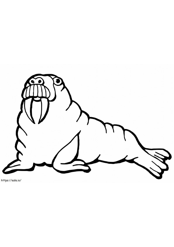 Walrus Looks Funny coloring page