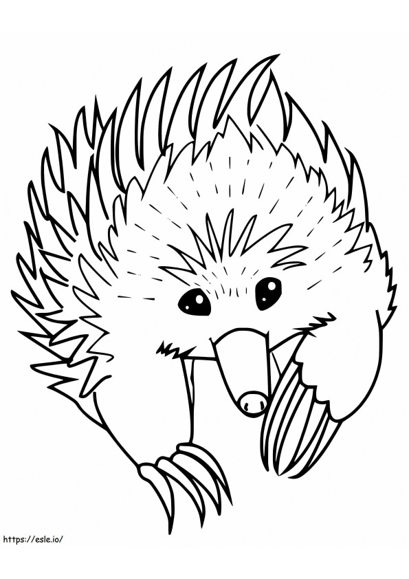 Echidna Printable coloring page