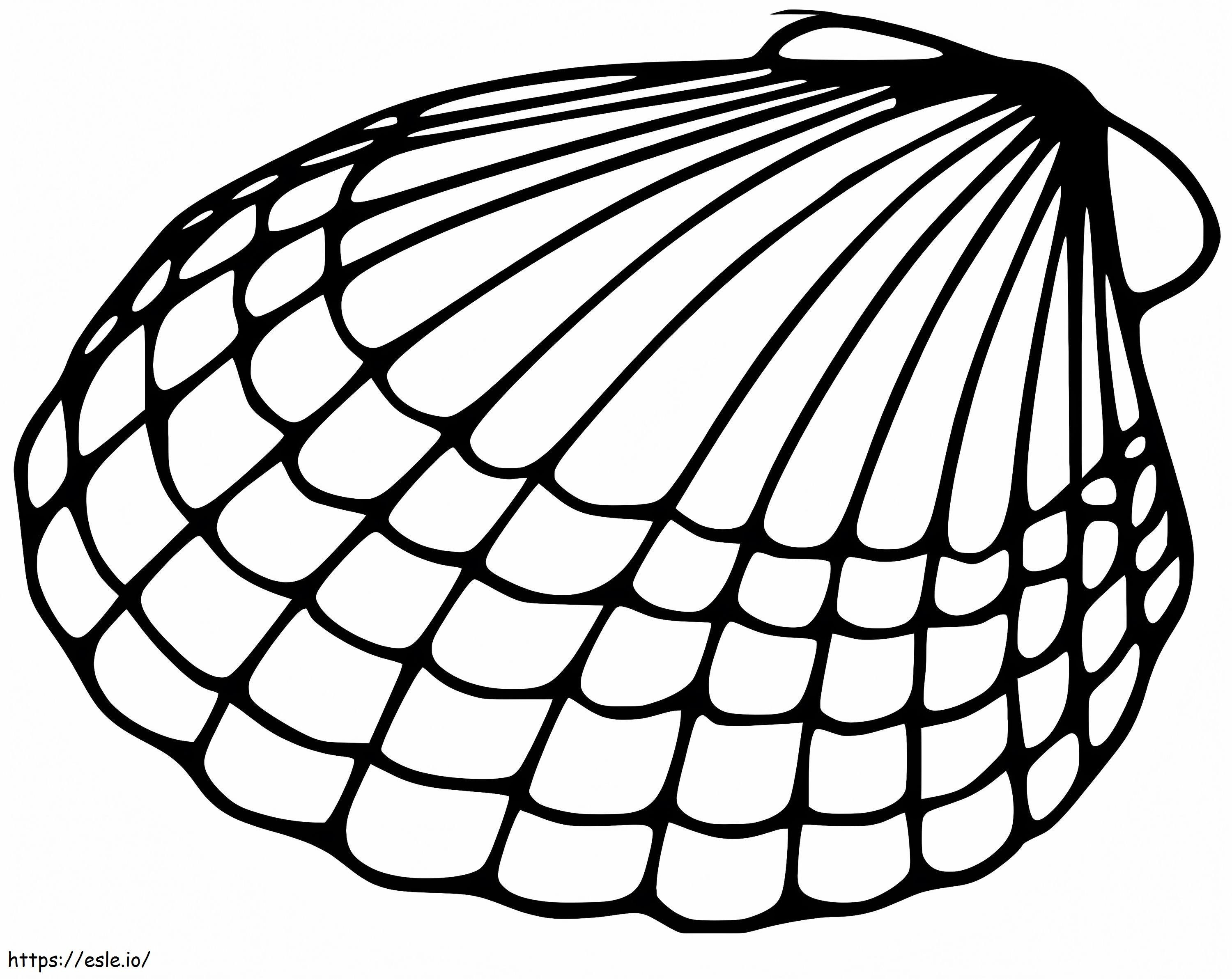 Scallop 5 coloring page