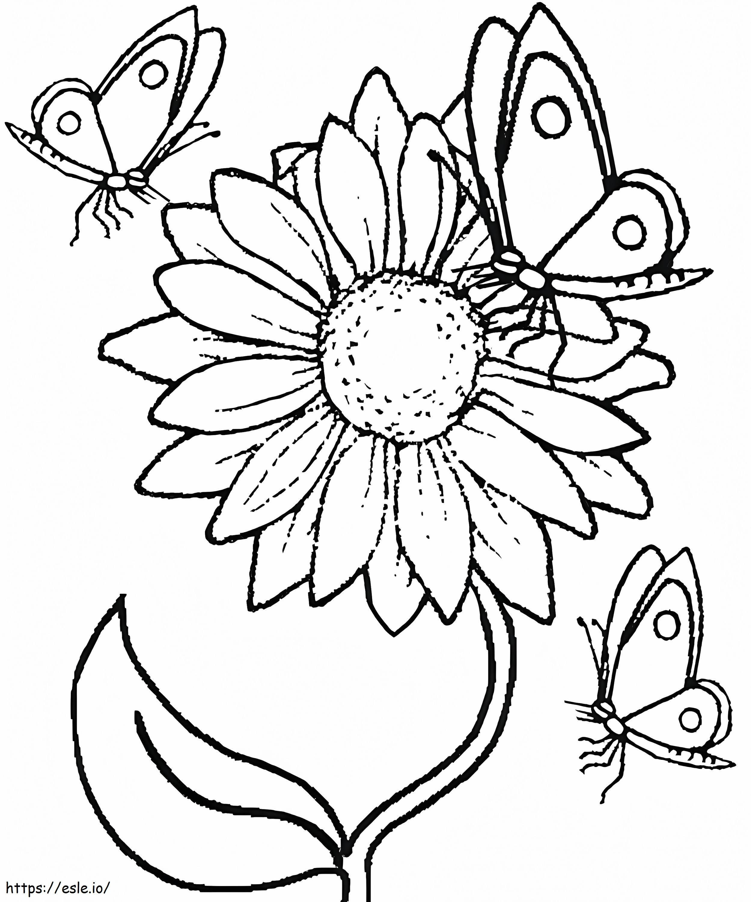 Sunflower And Butterflies coloring page