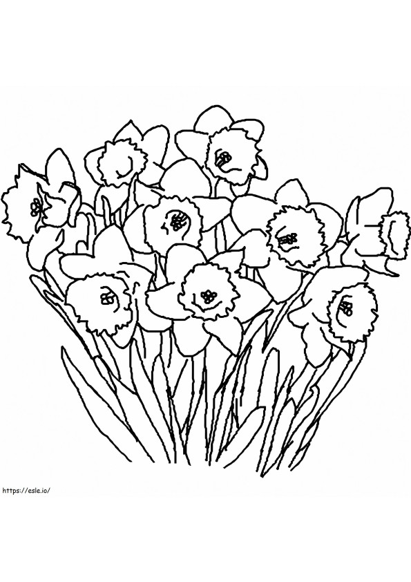 Narcissus Drawing coloring page