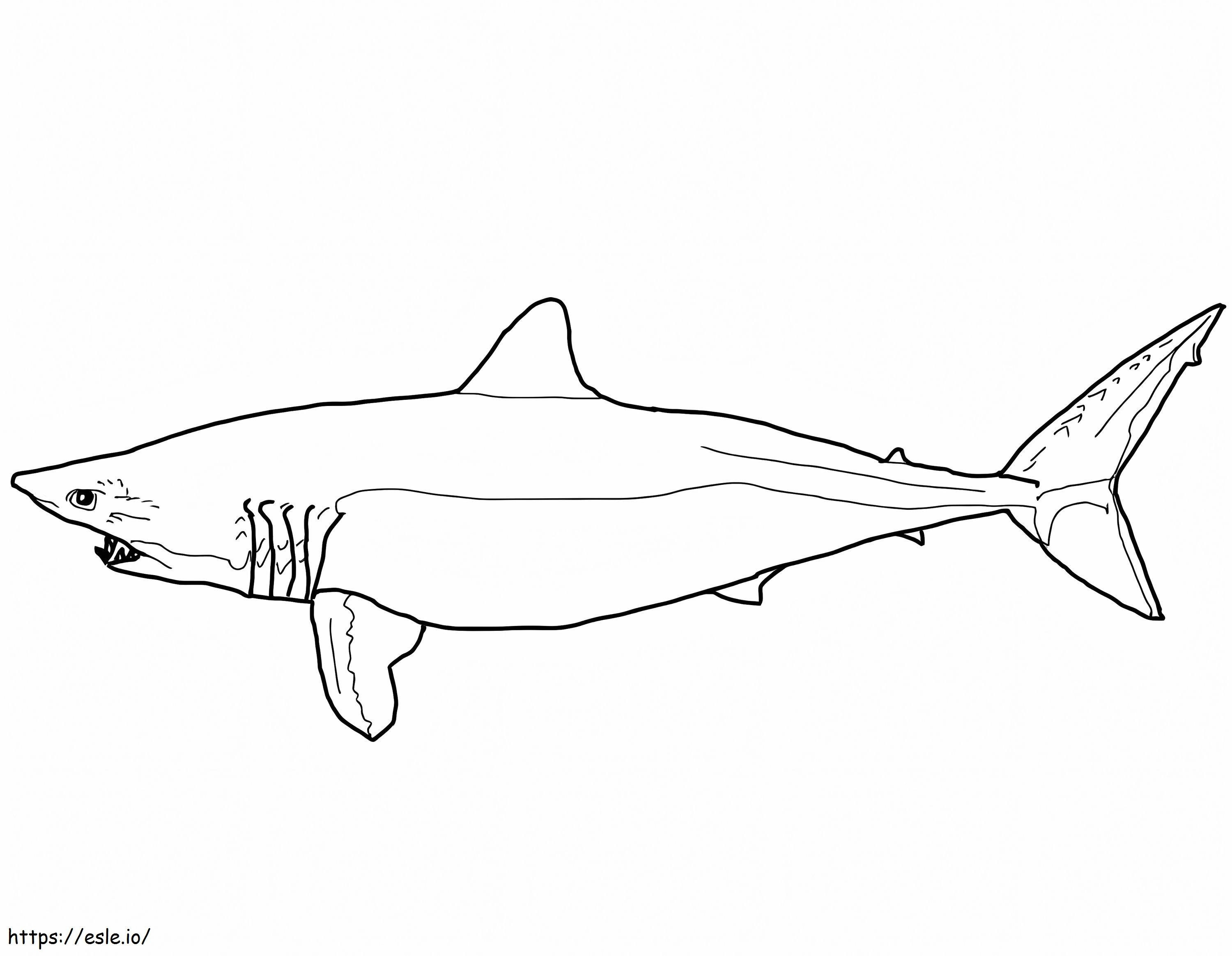 Tubarão Mako para colorir