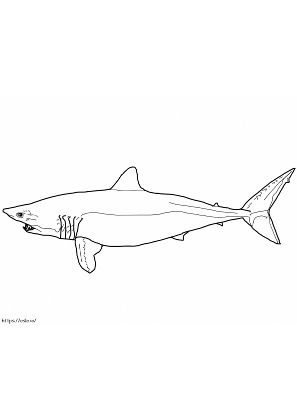 Mako-haai kleurplaat