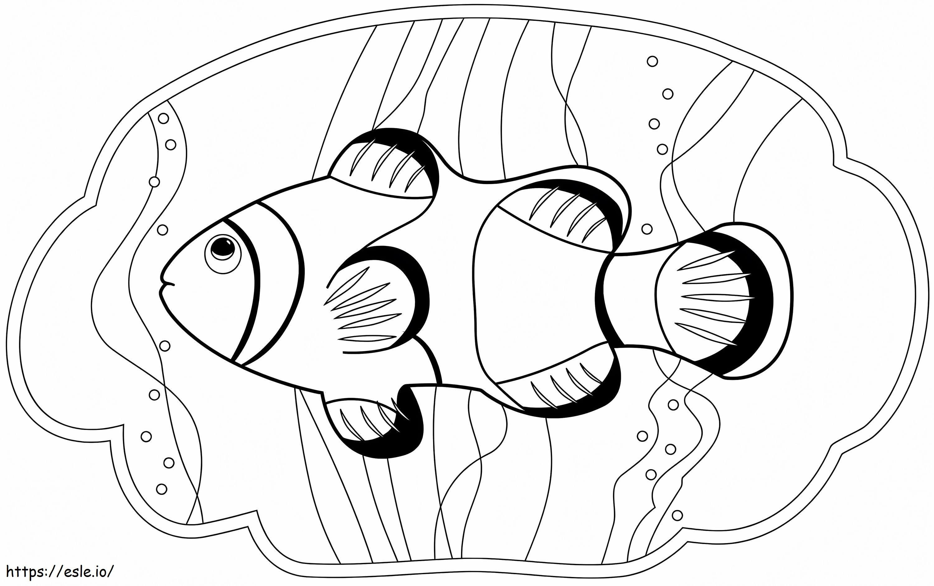 Peixe-palhaço para colorir