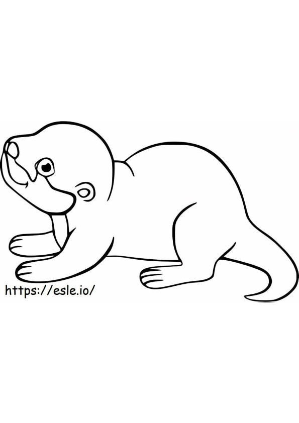 nutria bebé