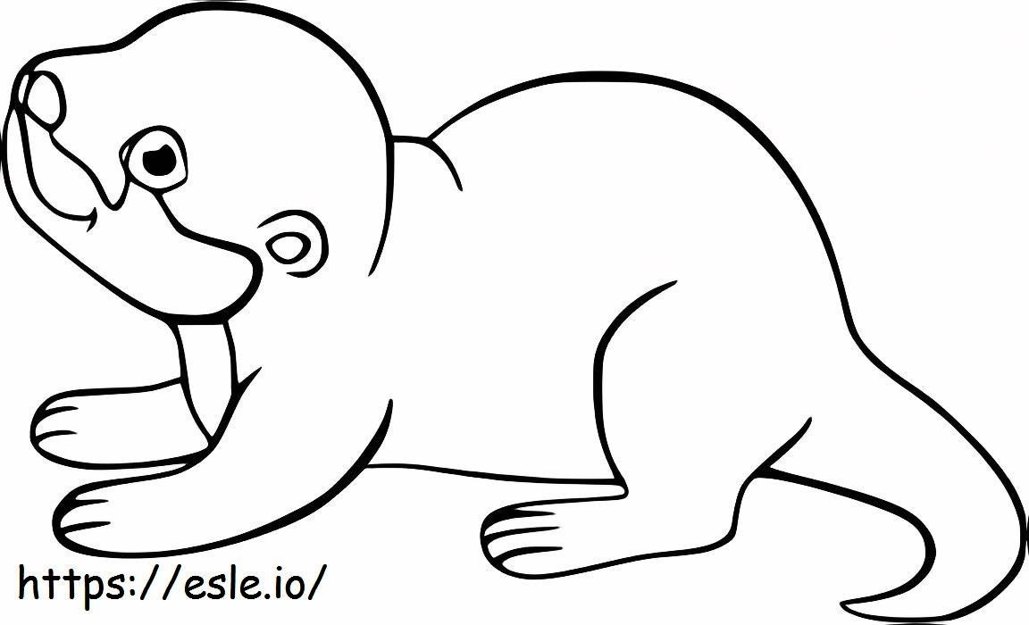 Baby Otter coloring page