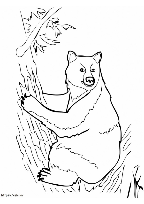 Beruang Hitam Di Pohon Gambar Mewarnai