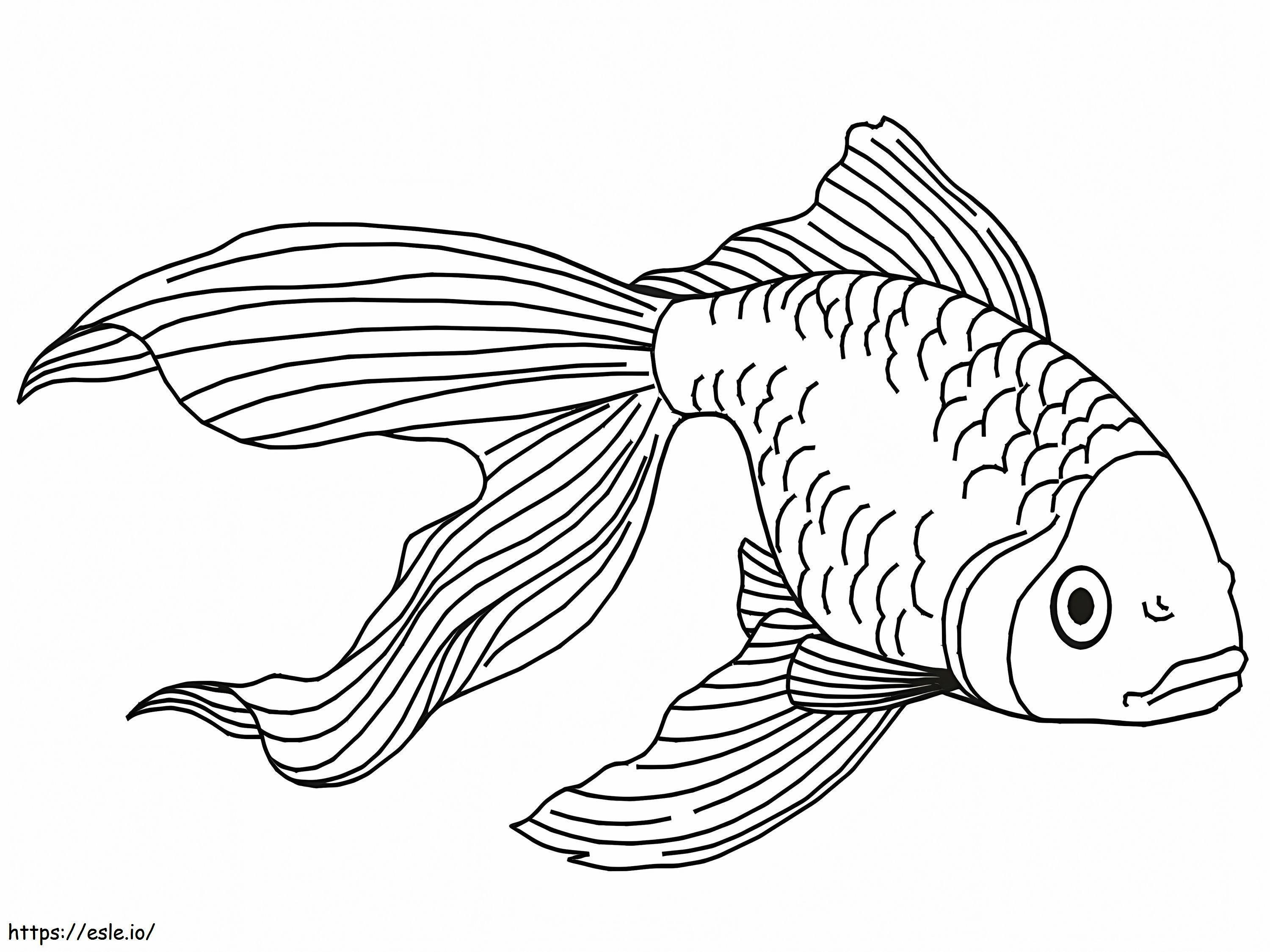 Goldfish 2 coloring page
