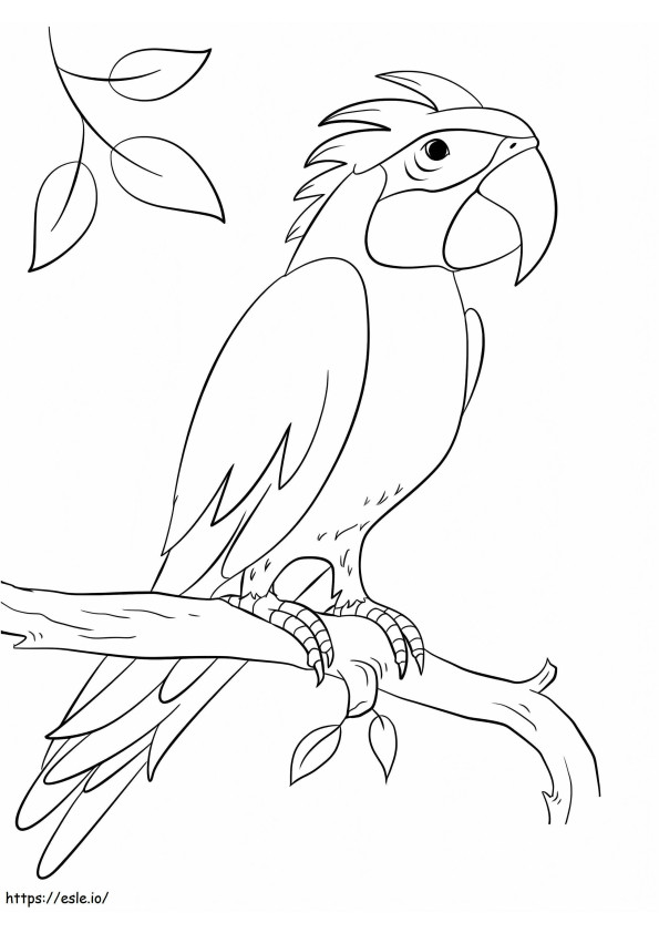 Sisserou-papegaai op de tak kleurplaat