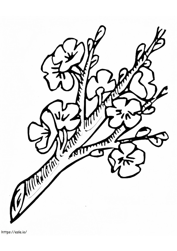 Blütenzweig