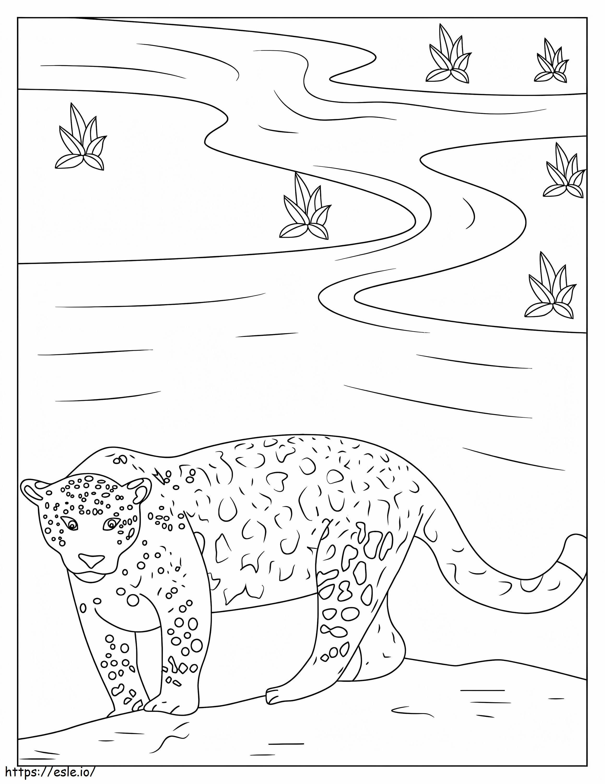 Coloriage Grande Jaguar à imprimer dessin