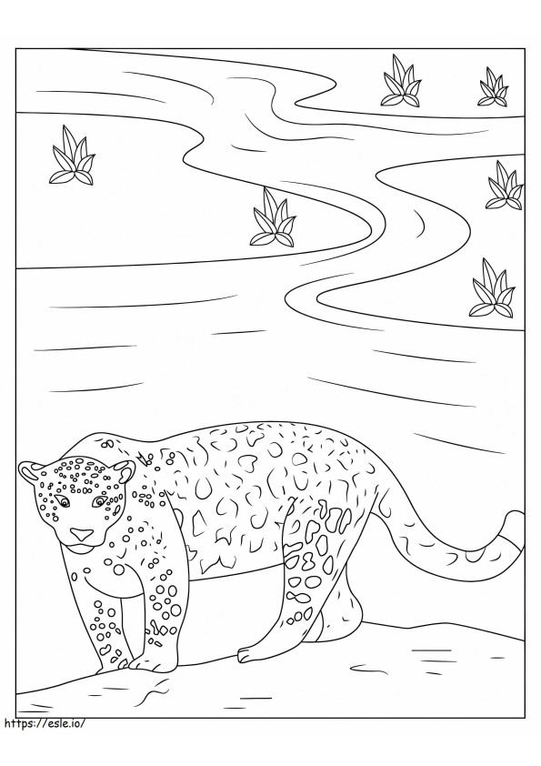Coloriage Grande Jaguar à imprimer dessin
