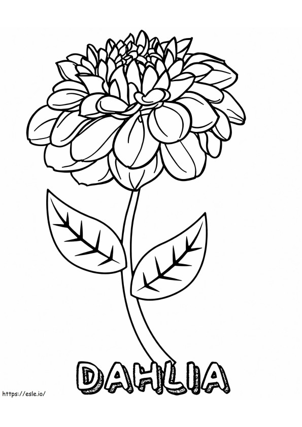 Dahlia kukka värityskuva