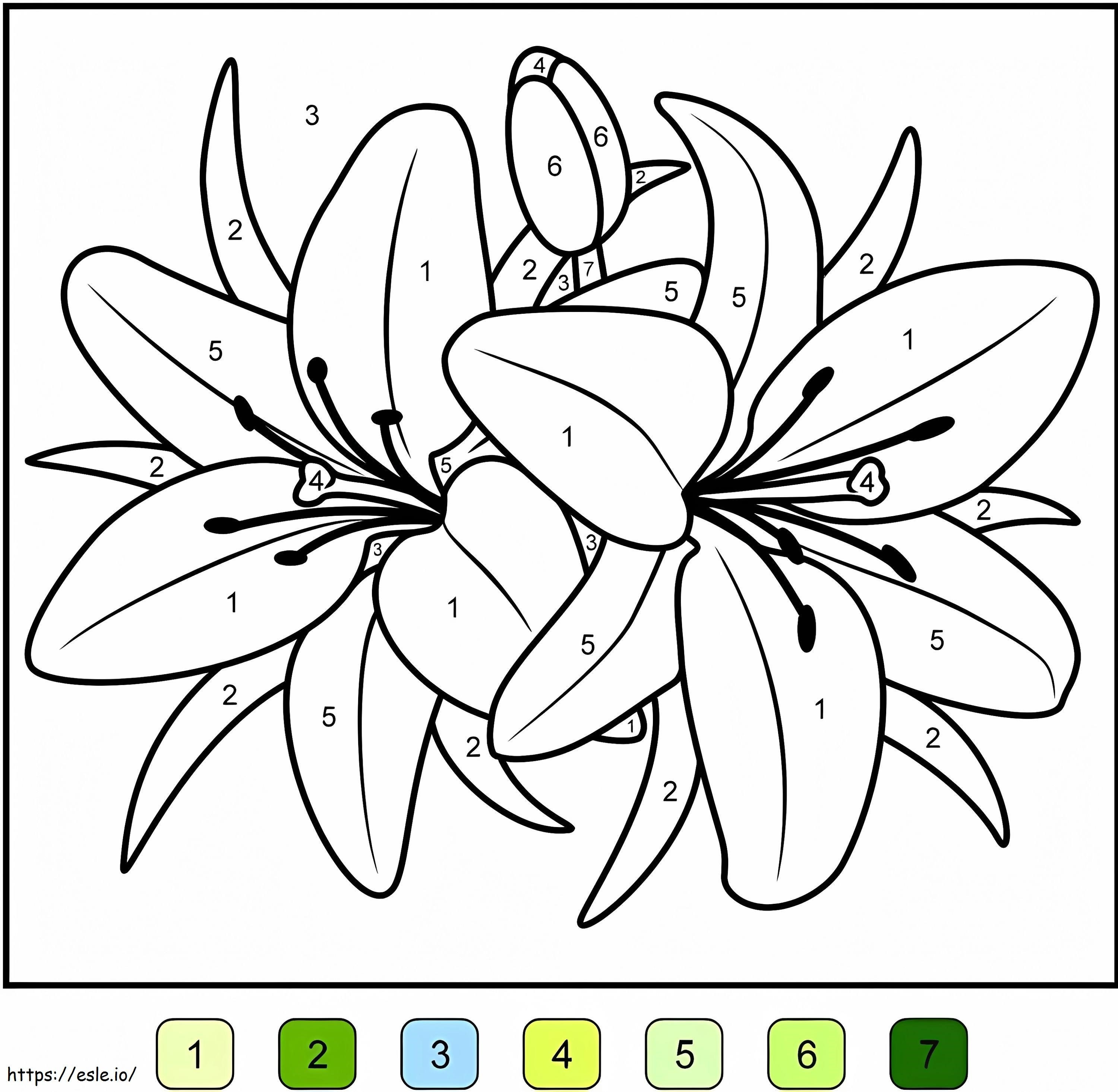 Culoare flori de crin după număr de colorat